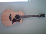 electric acoustic guitar