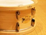 TRACE ELLIOT AH300-SM
